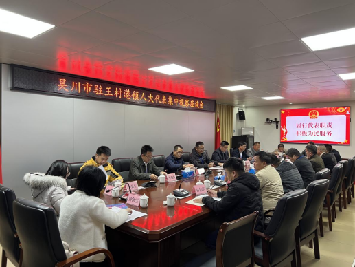 【镇街人大】王村港镇人大：组织驻镇市人大代表开展集中视察活动522.png