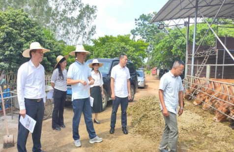 许剑桢率队到浅水镇、塘缀镇调研典型村建设情况暨风貌管控提升示范带连片打造工作326.png