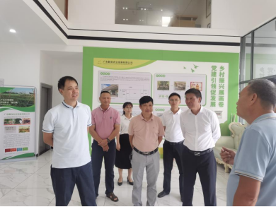 许剑桢率队到浅水镇、塘缀镇调研典型村建设情况暨风貌管控提升示范带连片打造工作752.png