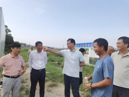 许剑桢率队到浅水镇、塘缀镇调研典型村建设情况暨风貌管控提升示范带连片打造工作933.png
