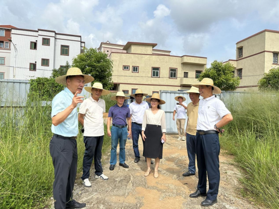【代表主题活动】许剑桢率驻吴湛江市人大代表到塘尾街道开展调研并进展接待群众531.png