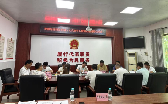 【代表主题活动】许剑桢率驻吴湛江市人大代表到塘尾街道开展调研并进展接待群众868.png