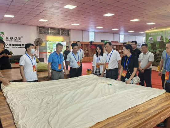 【代表主题活动】陈勇率驻吴湛江市人大代表小组到长岐镇开展主题活动并进站接待群众311.png