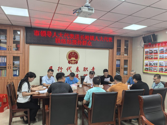 【代表主题活动】陈勇率驻吴湛江市人大代表小组到长岐镇开展主题活动并进站接待群众601.png
