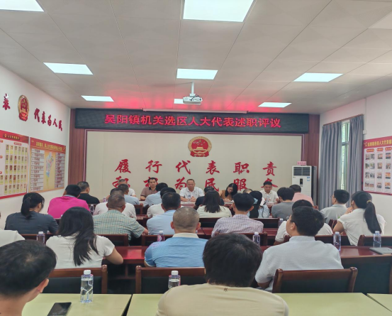 【代表主题活动】吴阳镇人大：机关选区开展人大代表述职评议活动187.png