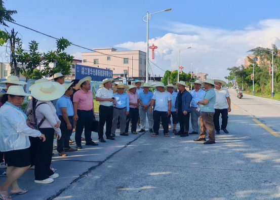【镇街人大】吴阳镇人大：人大代表切实履行监督职责 有力推动路灯照明项目落地见效261.png