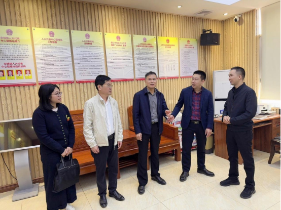 林盛文带队到廉江市安铺镇调研学习基层立法联系点建设工作181.png