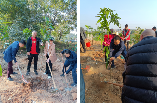 2025.1.21【镇街人大】梅菉街道人大：助力绿美吴川建设 人大代表在行动153_副本.png