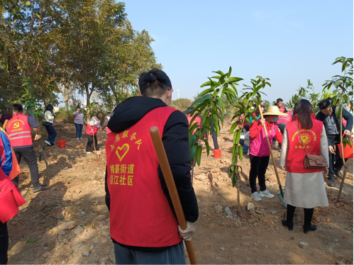 2025.1.21【镇街人大】梅菉街道人大：助力绿美吴川建设 人大代表在行动162.png