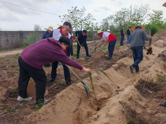 1773915528238373.png 2026年3月19日不负春光添新绿 履“植”尽责显担当180.png