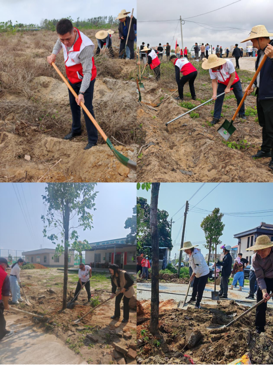 1773915537640040.png 2026年3月19日不负春光添新绿 履“植”尽责显担当866.png