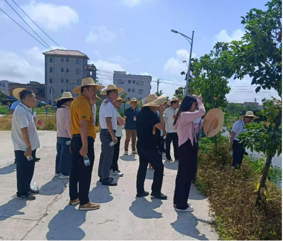 【镇街人大】振文镇人大：人大代表一线“把脉问诊” 助力木棉河、保畅江重现水清岸绿222.png