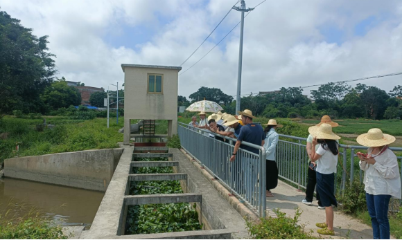 【镇街人大】振文镇人大：人大代表一线“把脉问诊” 助力木棉河、保畅江重现水清岸绿430.png