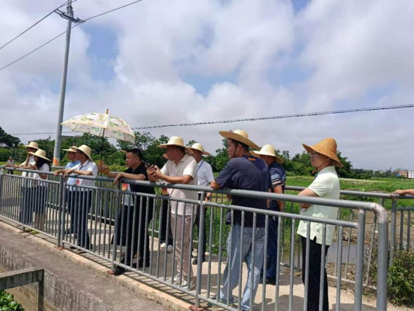【镇街人大】振文镇人大：人大代表一线“把脉问诊” 助力木棉河、保畅江重现水清岸绿616.png