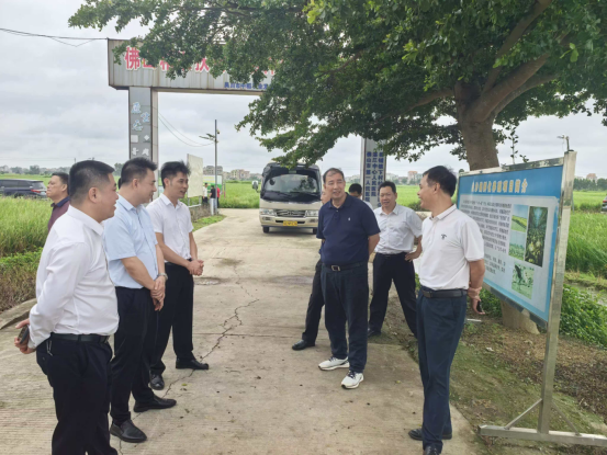 湛江市人大常委会到我市开展《广东省乡村振兴促进条例》执法检查和农村一二三产融合发展专题调研(1)196.png