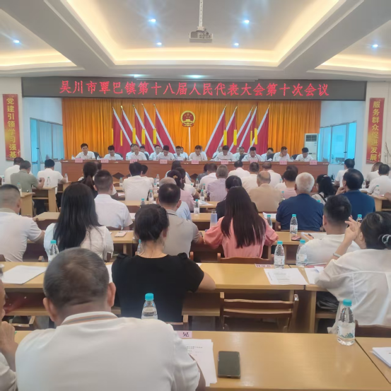 【镇街人大】覃巴镇人大：覃巴镇第十八届人民代表大会第十次会议顺利召开171.png