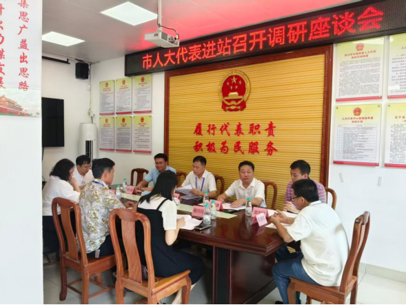 林盛文率队赴兰石镇开展“助力优化营商环境·人大代表在行动”主题活动并进站接待群众709.png