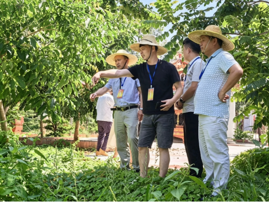 【镇街人大】王村港镇人大：聚焦群众急难愁盼  实地调研覃寮村危桥加固与水沟修缮309.png