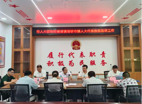 钟维炎到樟铺镇调研市镇人大换届选举、安全生产及美丽乡村建设工作978.png