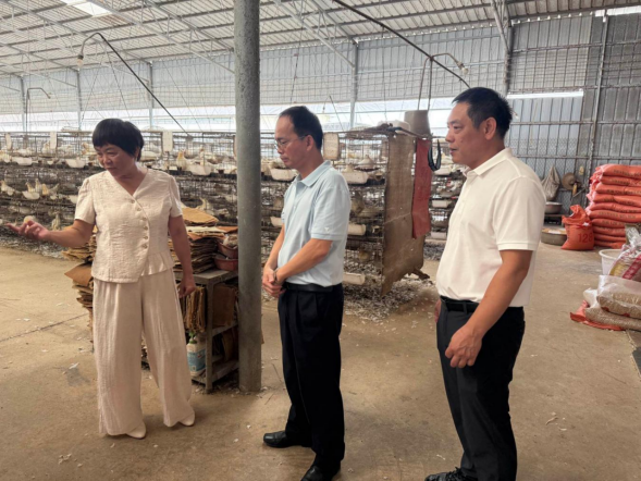 钟维炎率队到浅水镇督导人大代表联络站建设、安全生产及产业发展情况734.png